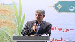 توسعه مکانیزاسیون در شالیزارهای گیلان ضرورت دارد